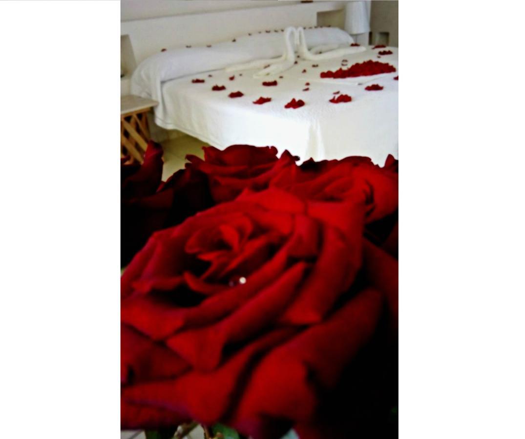Il Piccolo Peccato (Adults Only) Hotel Cuernavaca Exterior photo